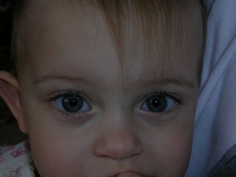 03122006 (3)